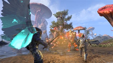 teso vendeur de sac morrowind